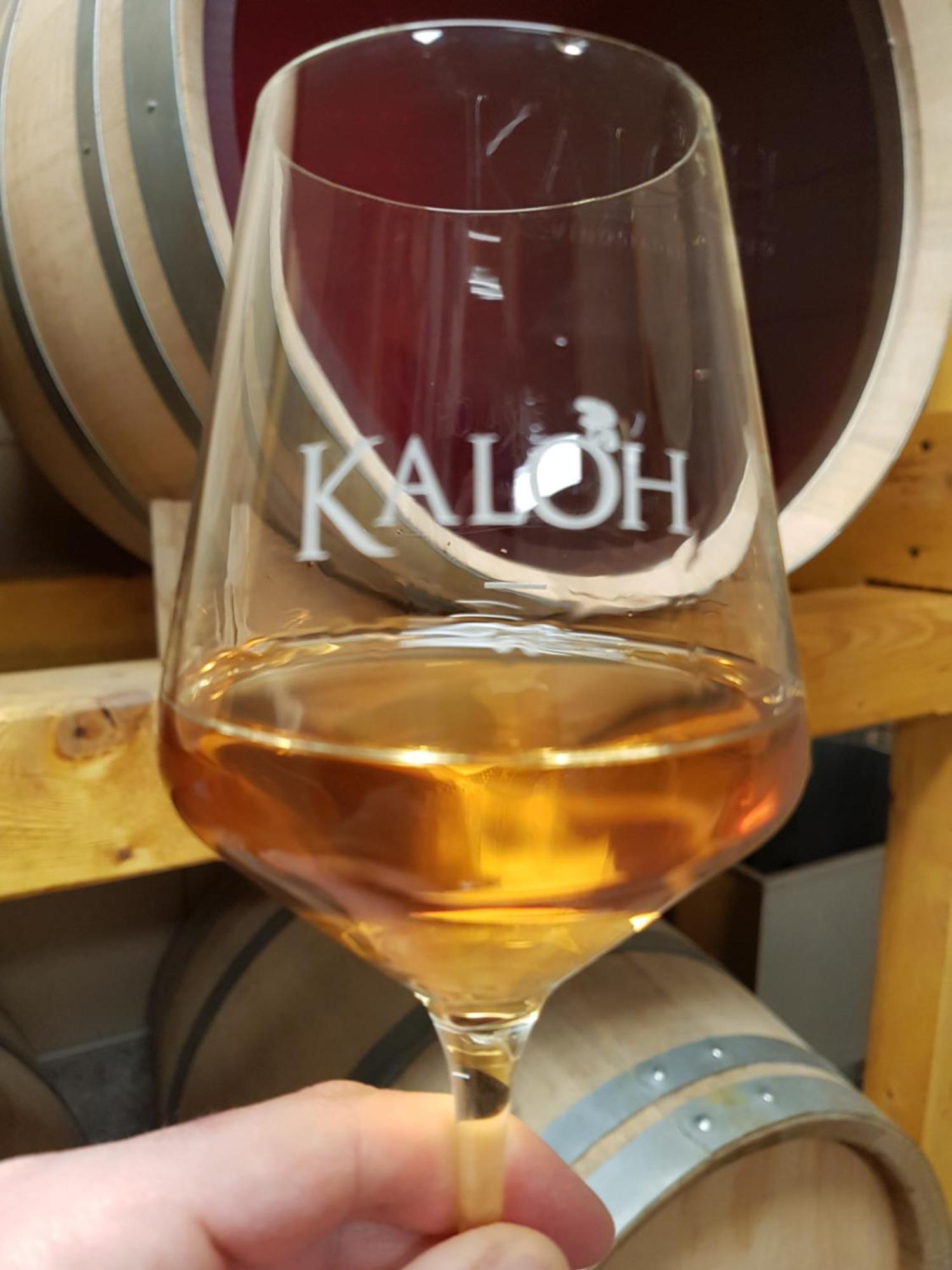 Wine House Kaloh Villa Maribor Eksteriør bilde
