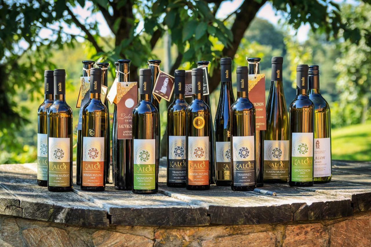 Wine House Kaloh Villa Maribor Eksteriør bilde