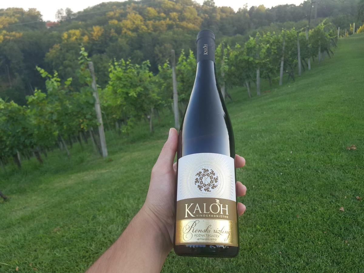Wine House Kaloh Villa Maribor Eksteriør bilde