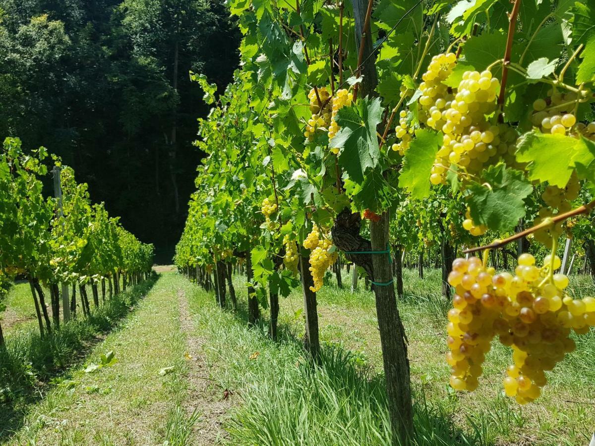 Wine House Kaloh Villa Maribor Eksteriør bilde