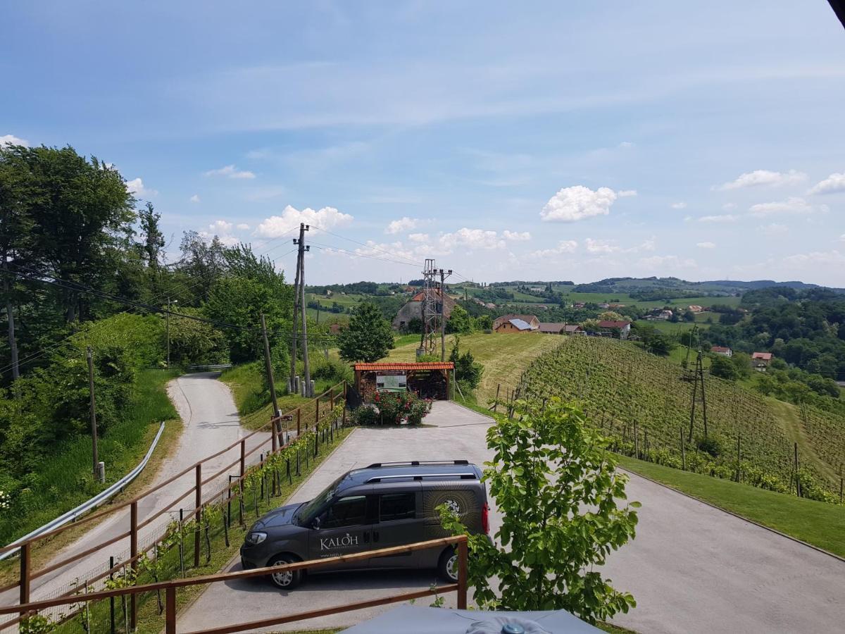 Wine House Kaloh Villa Maribor Eksteriør bilde